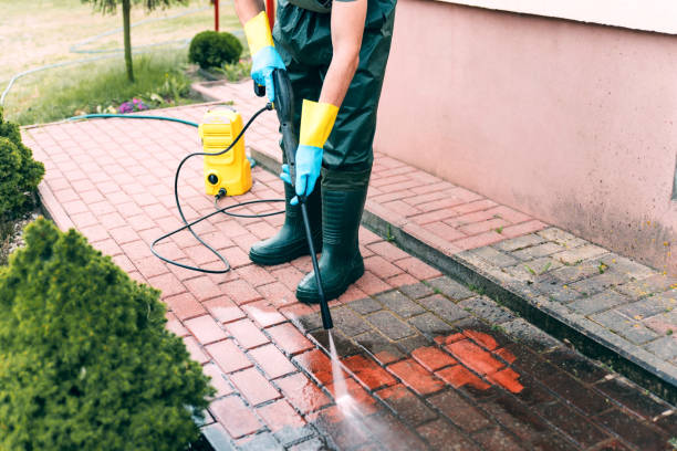 Best Pool Deck Cleaning  in Waterloo, IL