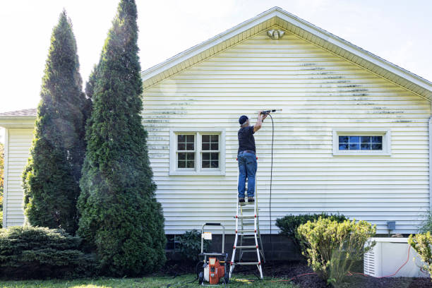 Best Driveway Pressure Washing  in Waterloo, IL